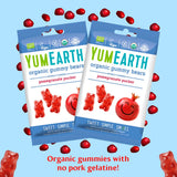 Organic Gummy Bears - Pomegranate Pucker
